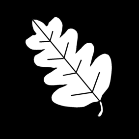 blad van boom